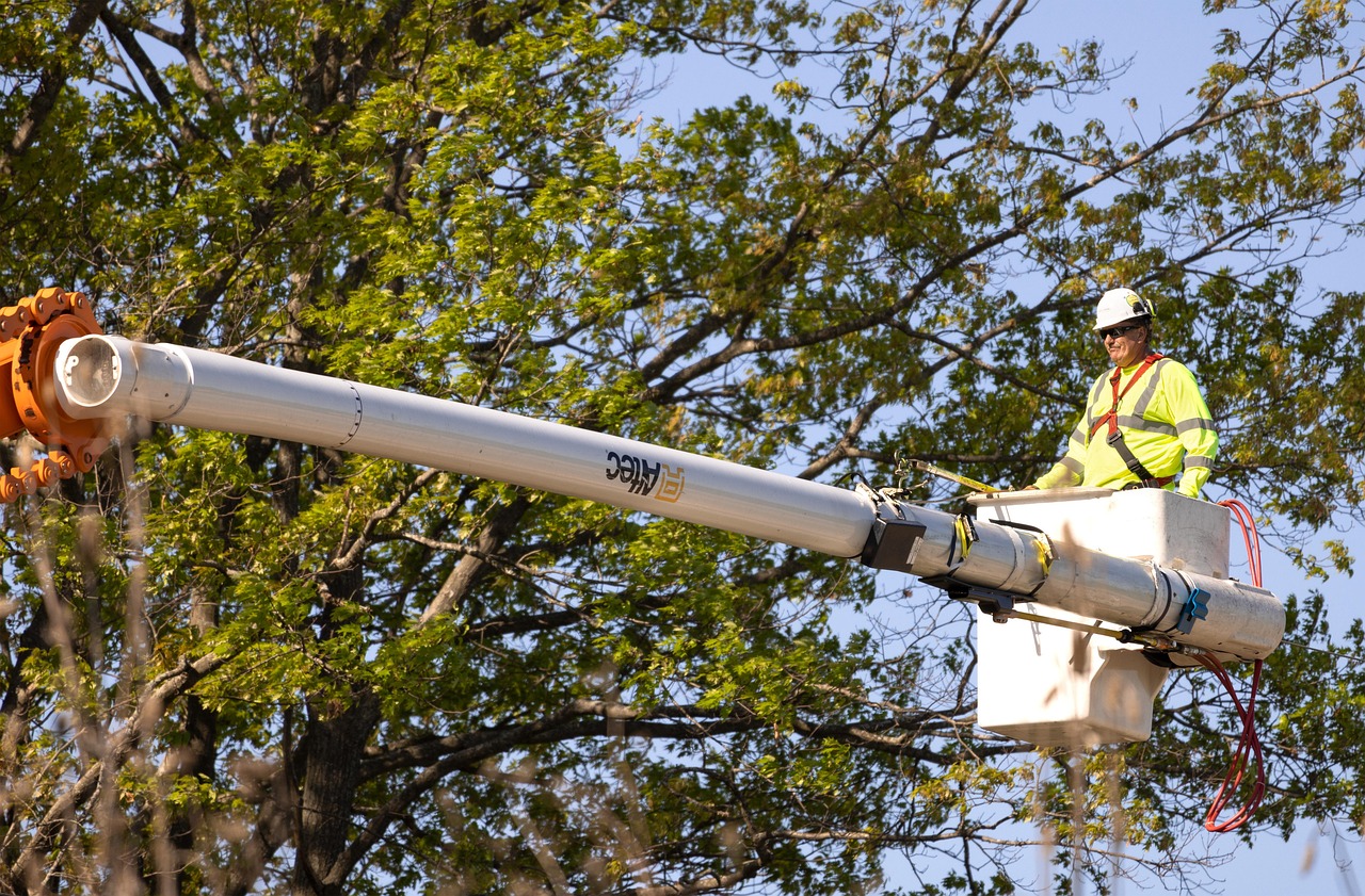 Arborist service services covering Butlersbridge