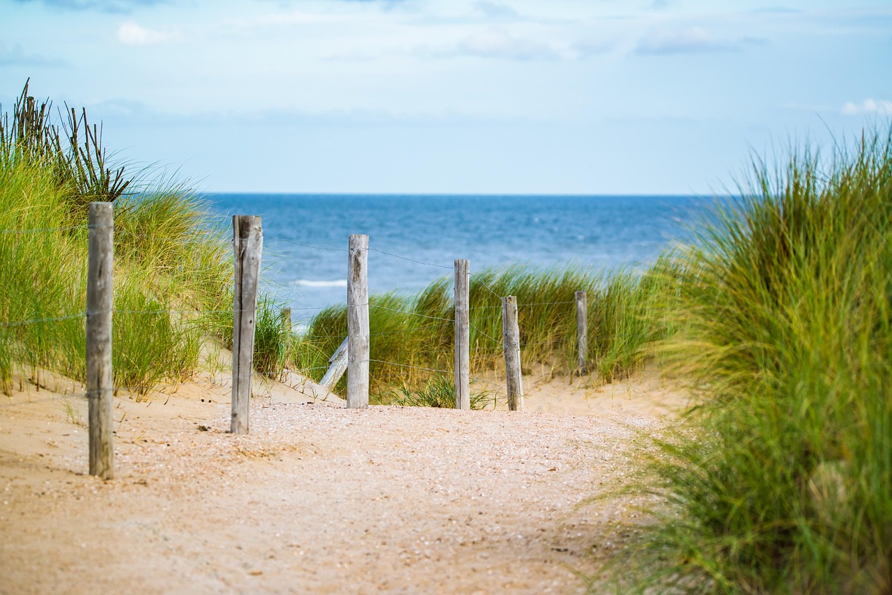 Fence contractor services covering Canningstown