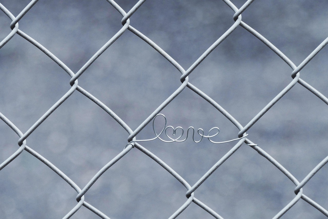 Local fence contractor for Lough Gowna homes and gardens