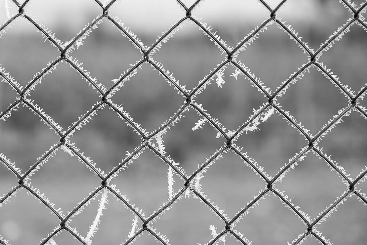 Fence contractor in Redhills