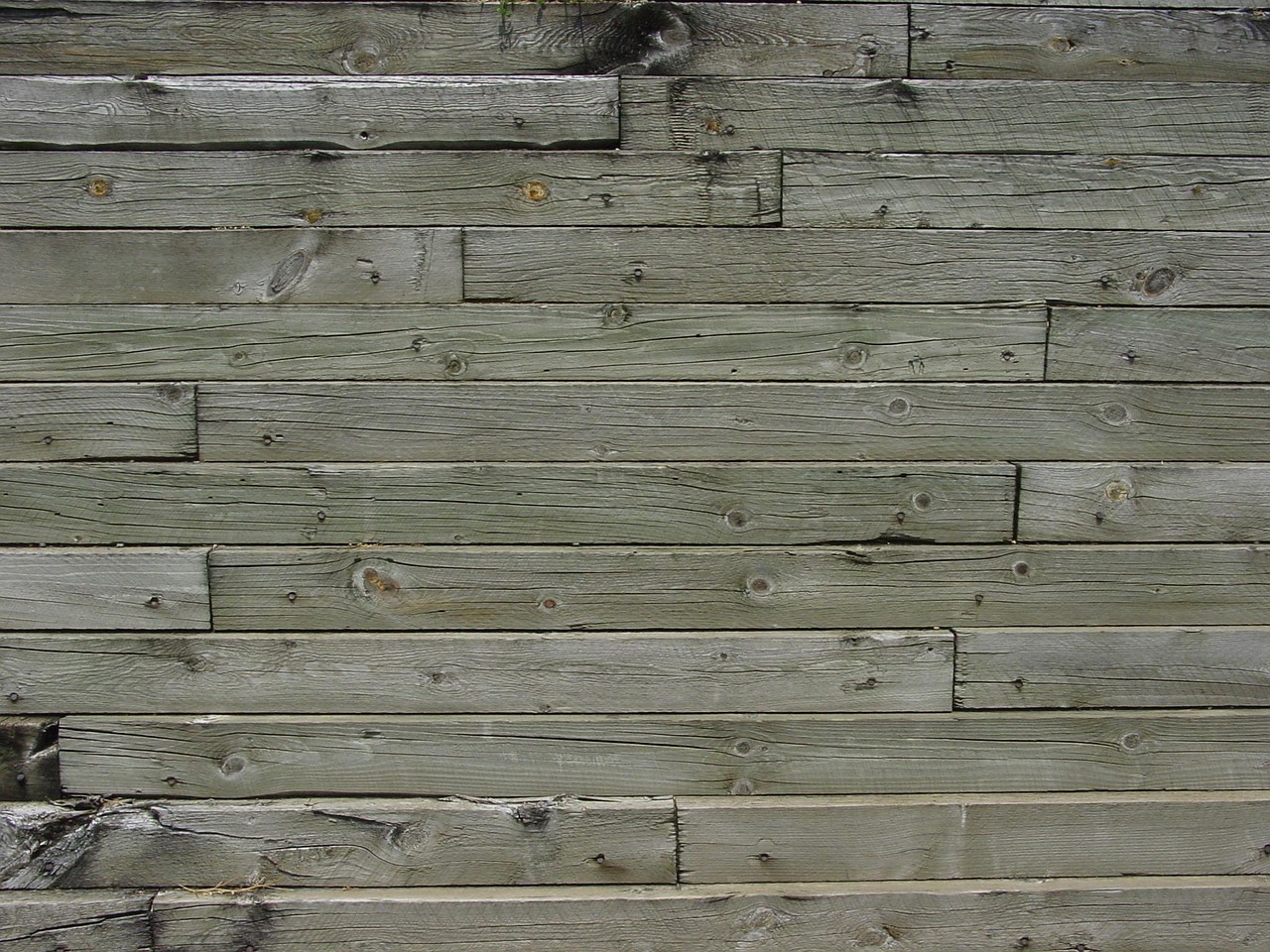 Fencing construction services covering Canningstown