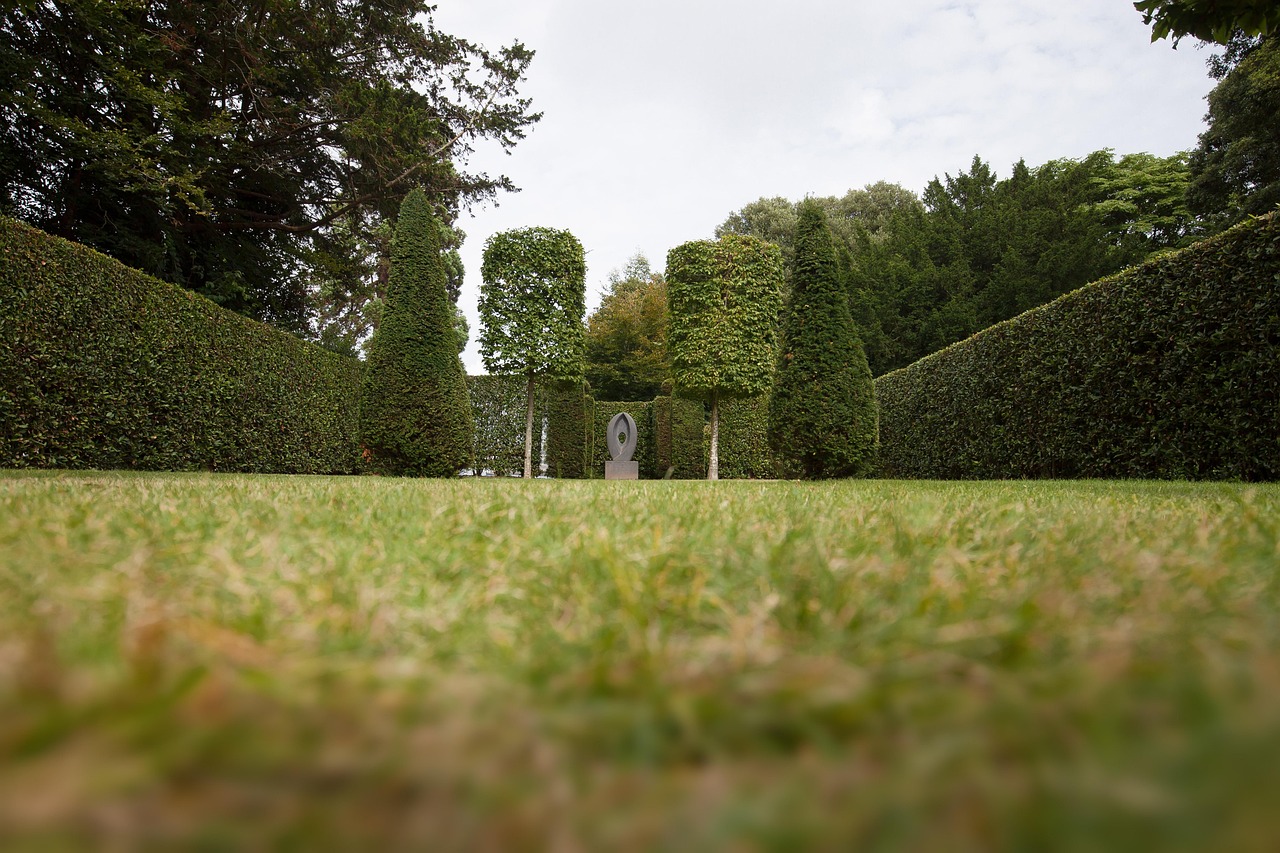 Garden hedge cutting in Arvagh
