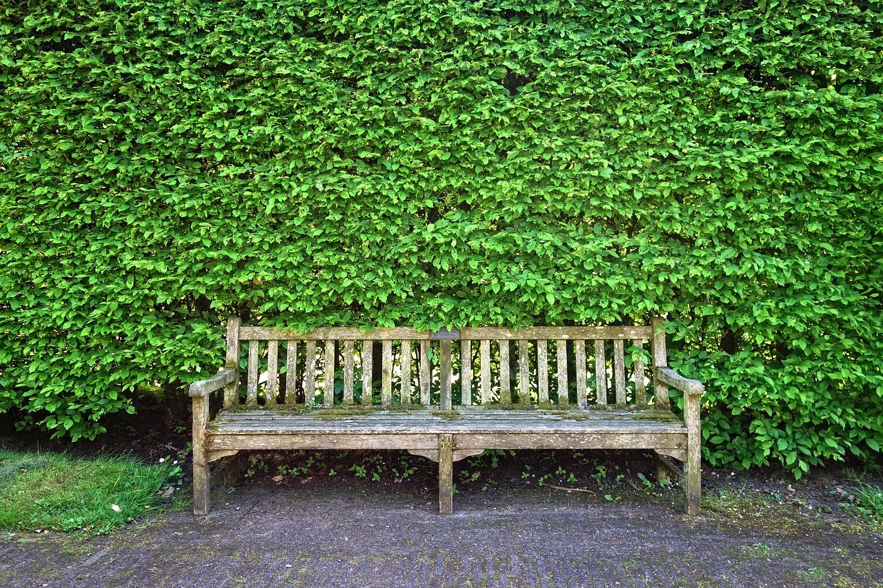 Garden hedge cutting services covering Belturbet