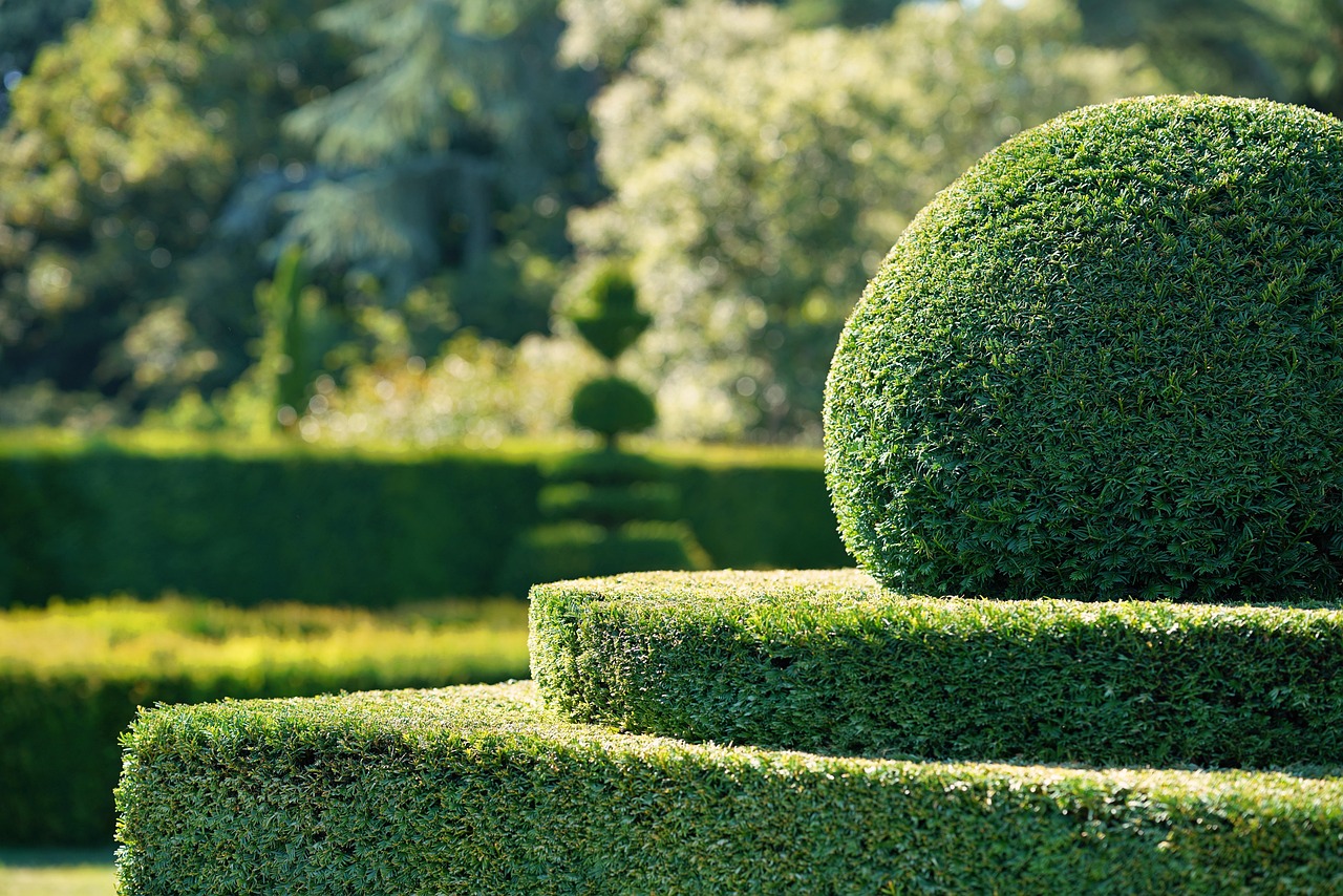 Garden hedge cutting in Kilcogy
