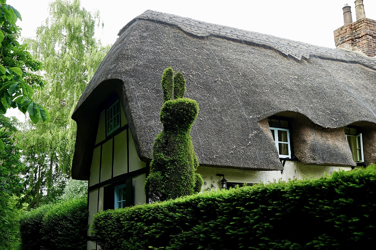 Local garden hedge cutting for Milltown homes and gardens