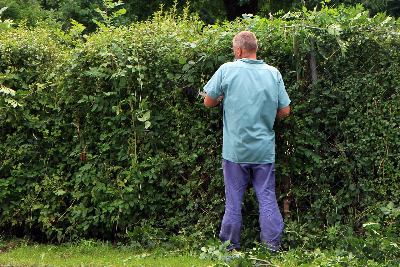 Garden hedge cutting services covering Mullagh