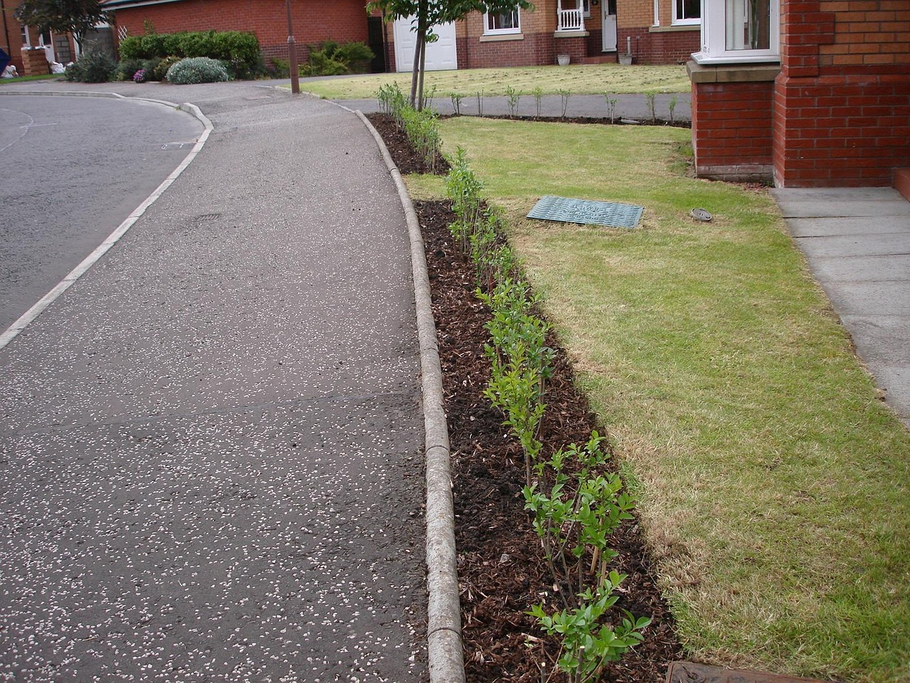 Garden hedge trimming services for Cootehill