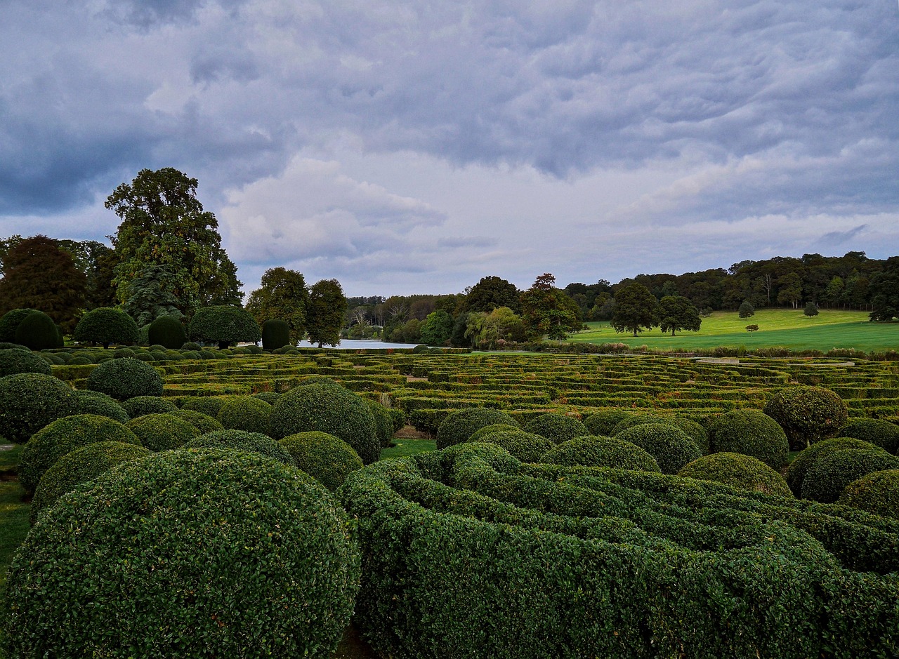 Garden hedge trimming services covering Cavan Town
