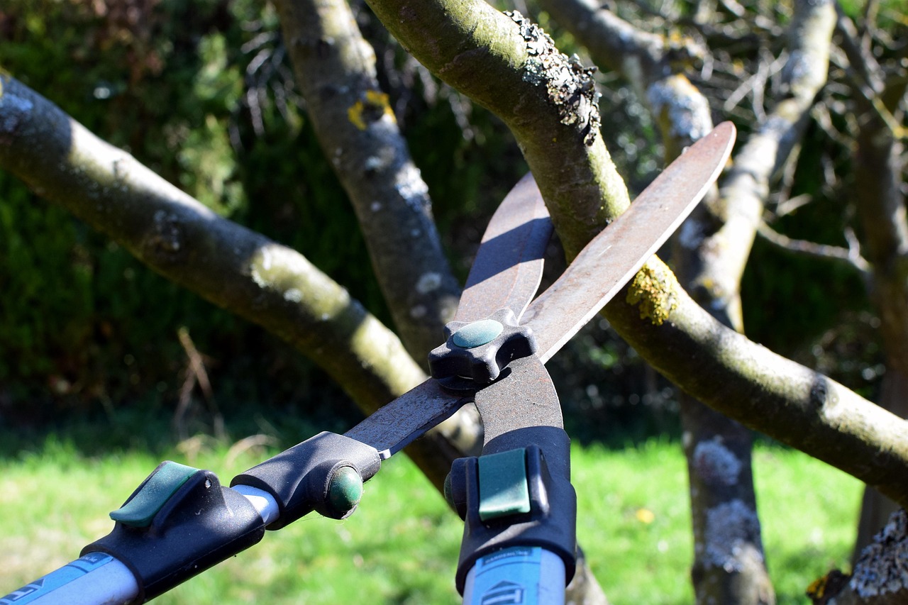Garden hedge trimming in Cootehill
