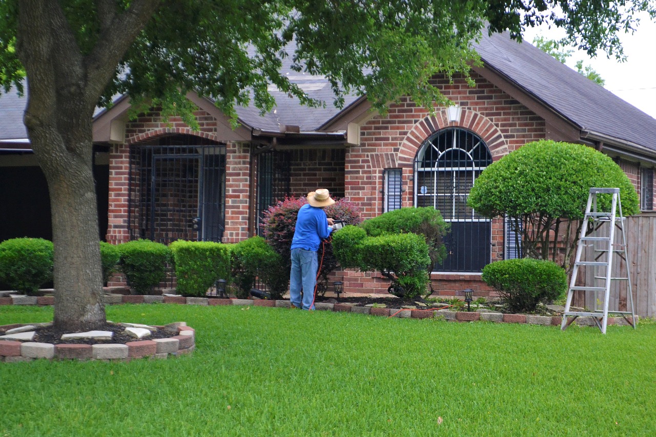 Local garden hedge trimming for Killeshandra homes and gardens