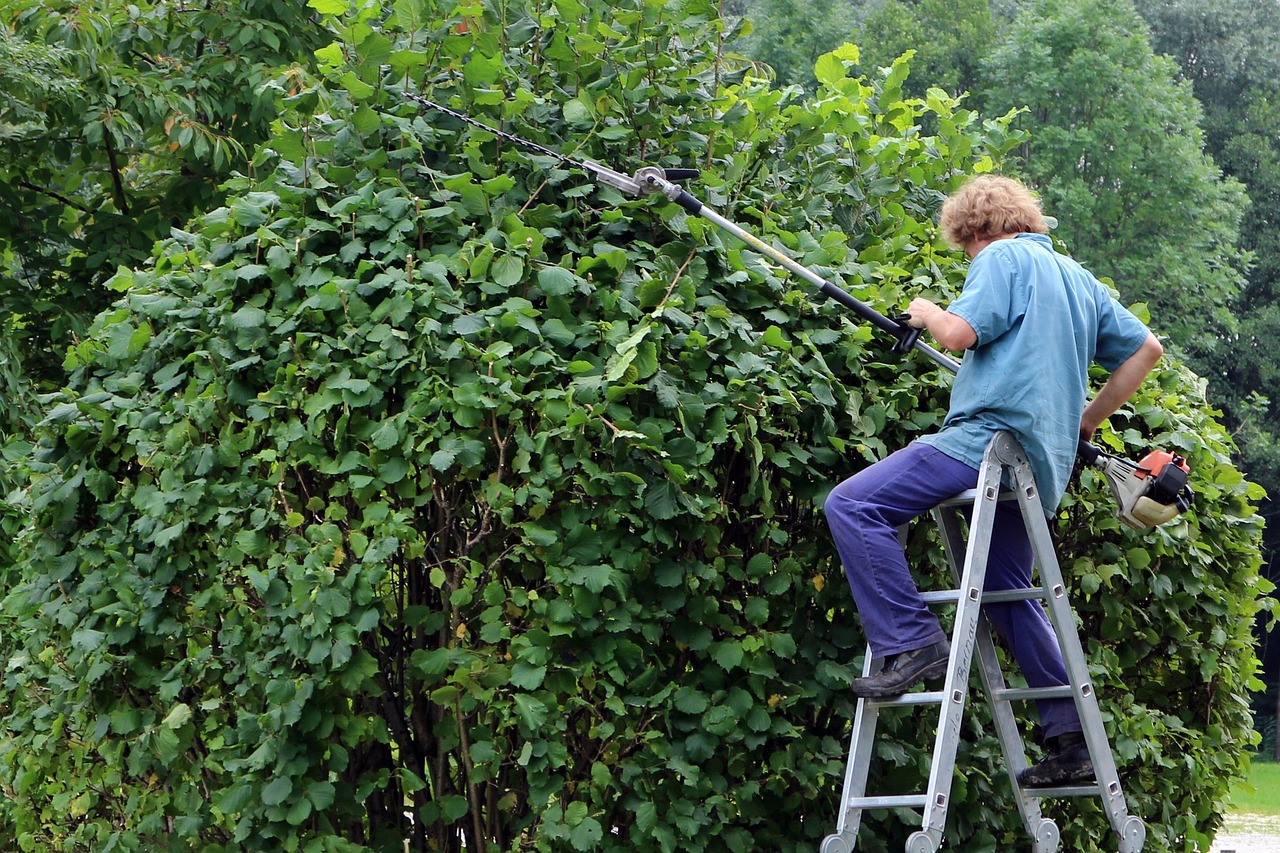 Local garden hedge trimming for Lough Gowna homes and gardens