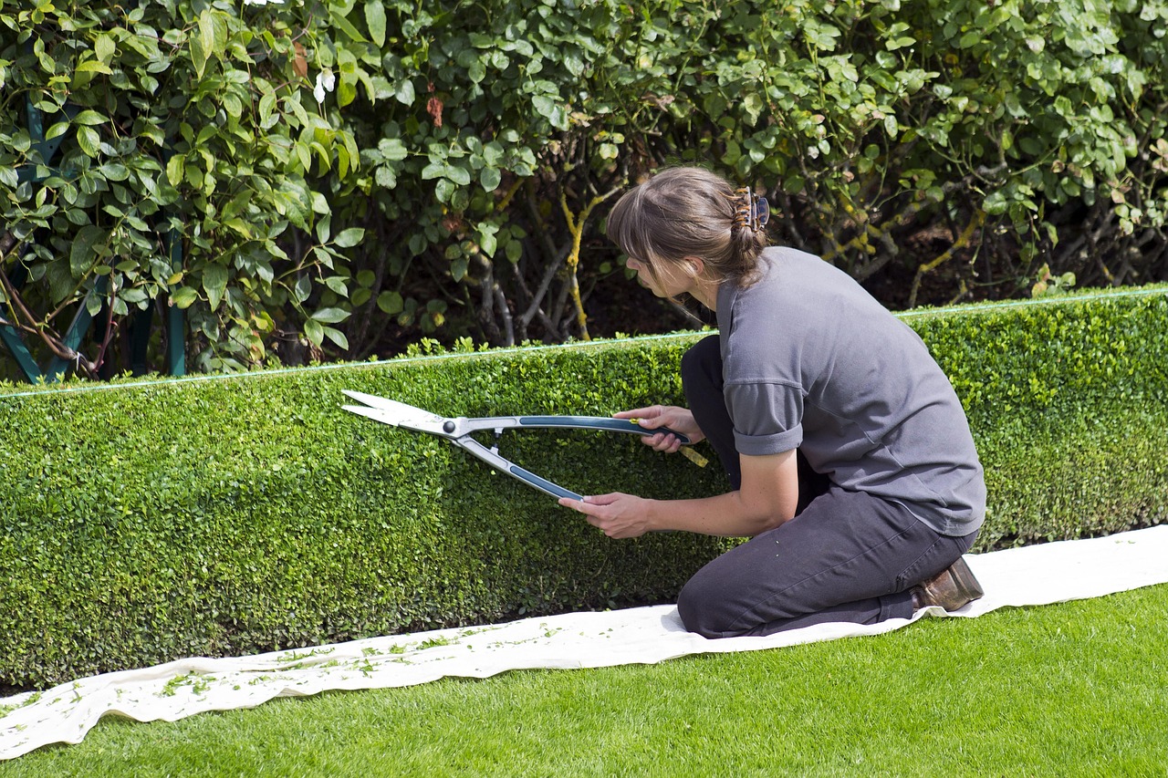 Local garden hedge trimming for Milltown homes and gardens