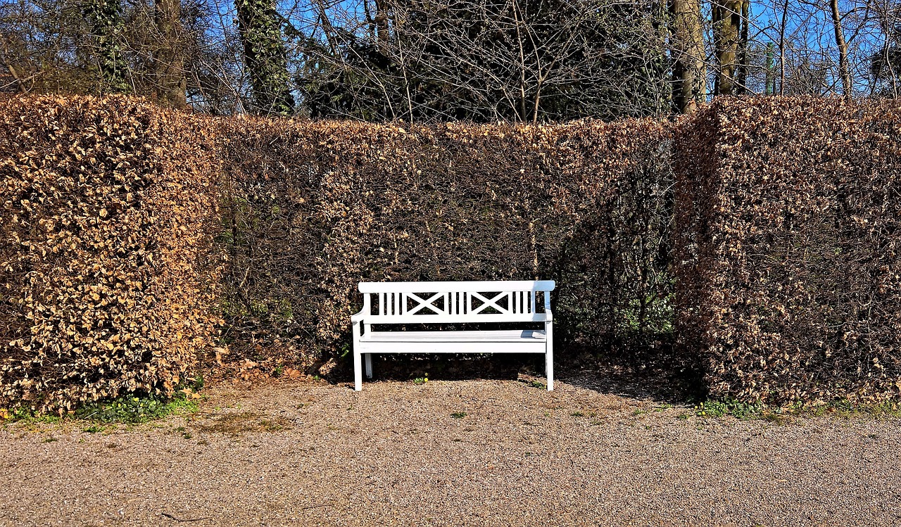 Local hedge cutting for Ballyjamesduff homes and gardens