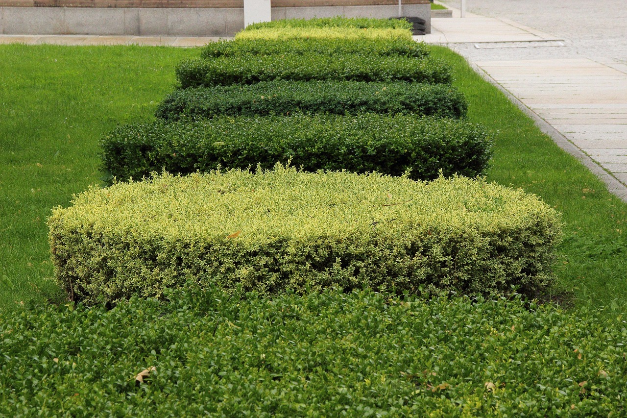 Local hedge cutting for Bawnboy homes and gardens