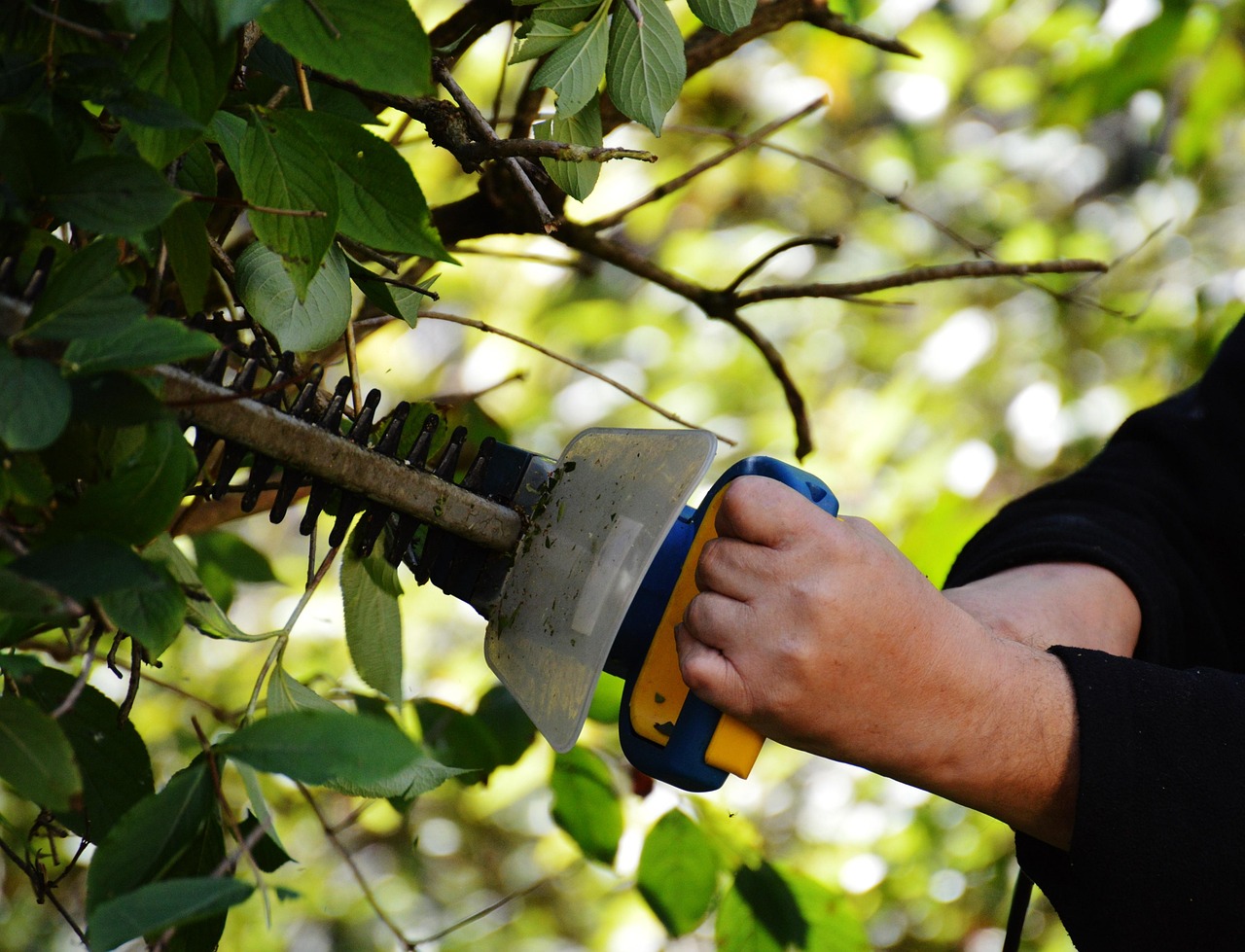 Local hedge cutting for Cootehill homes and gardens