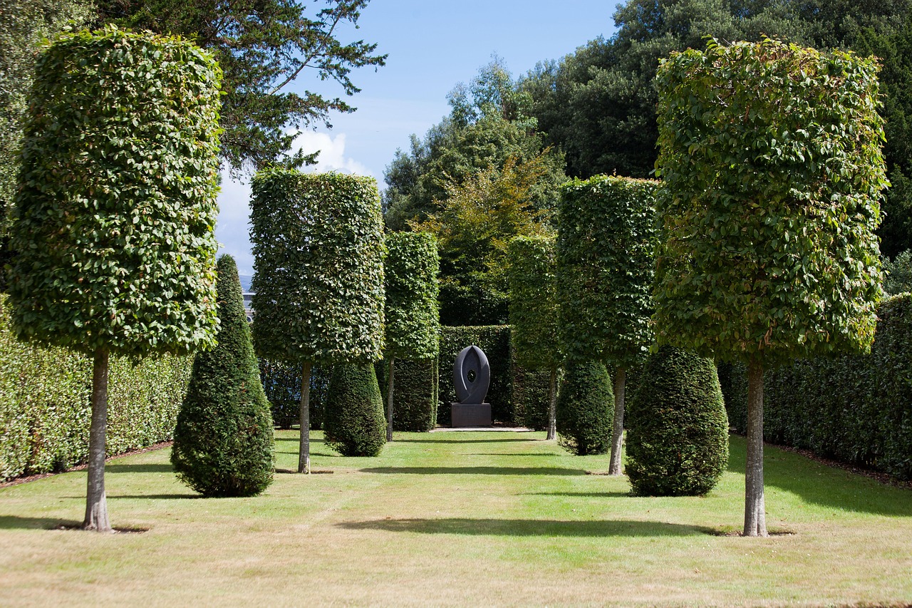 Local hedge cutting for Dowra homes and gardens