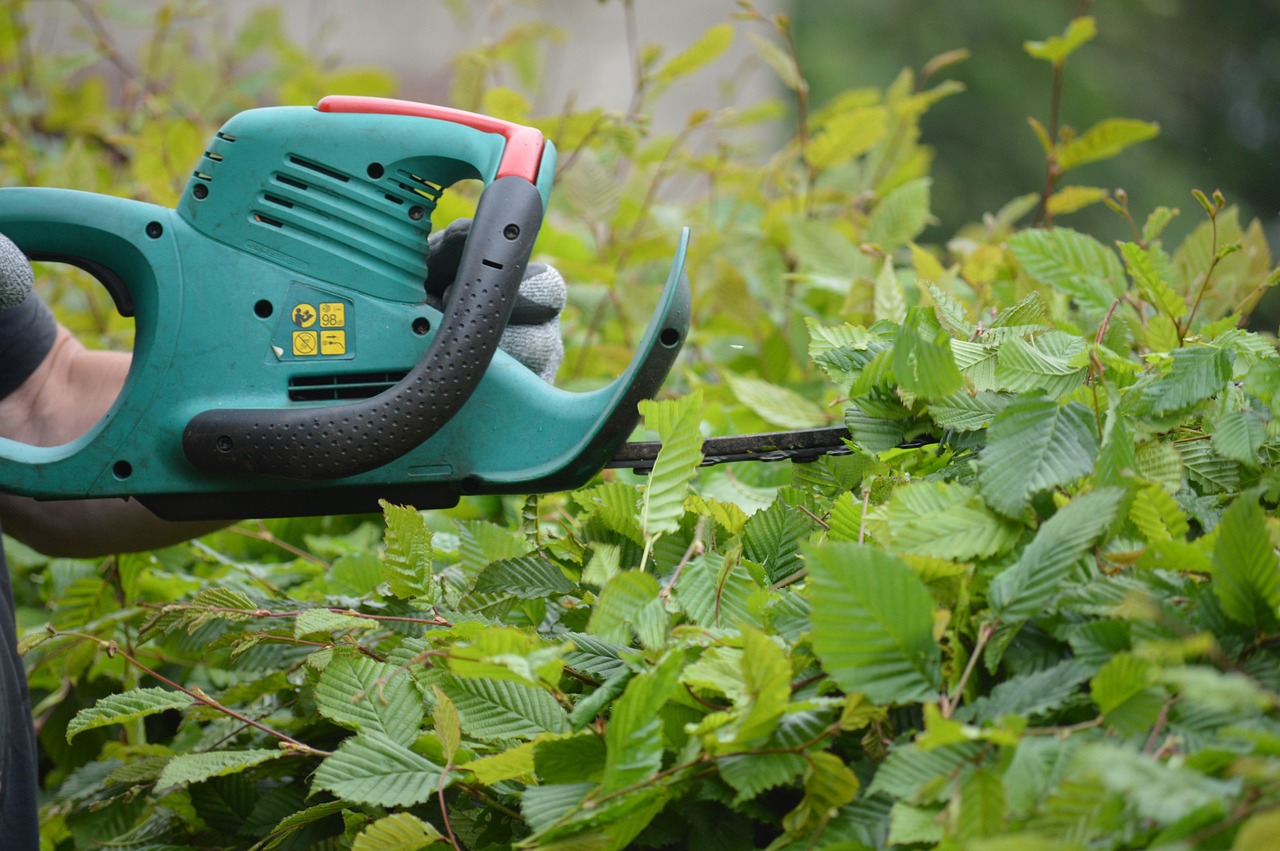 Local hedge cutting for Redhills homes and gardens