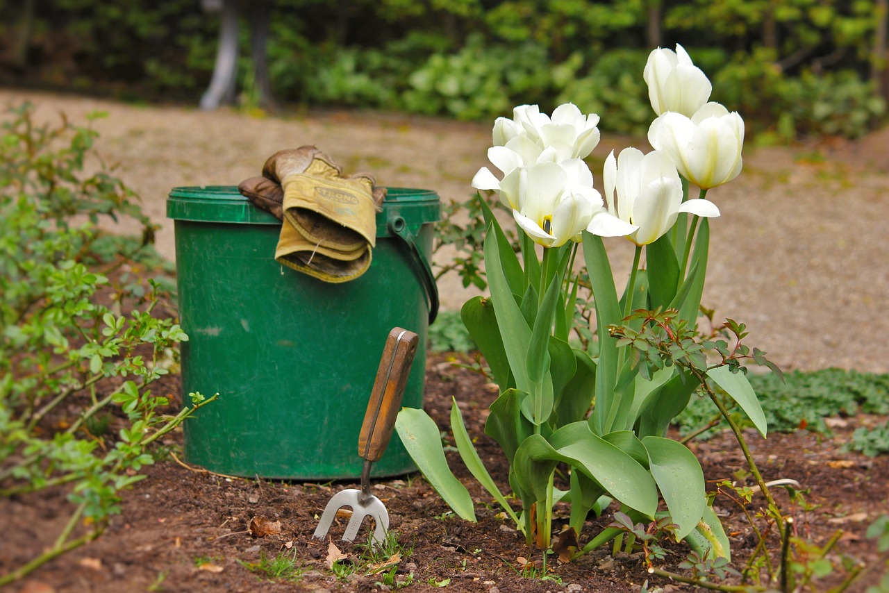 Landscape Gardener in Ballyconnell