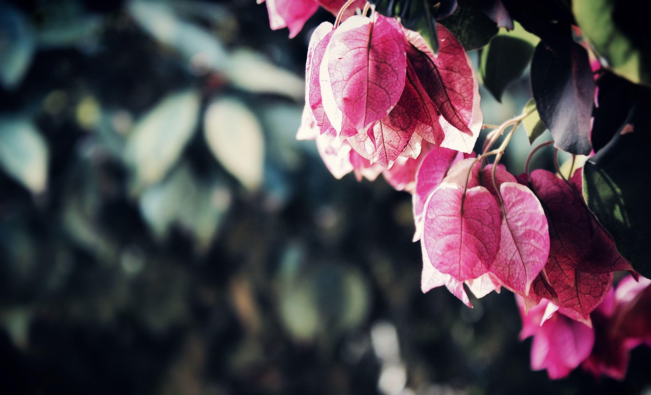 Landscape Gardener services covering Butlersbridge