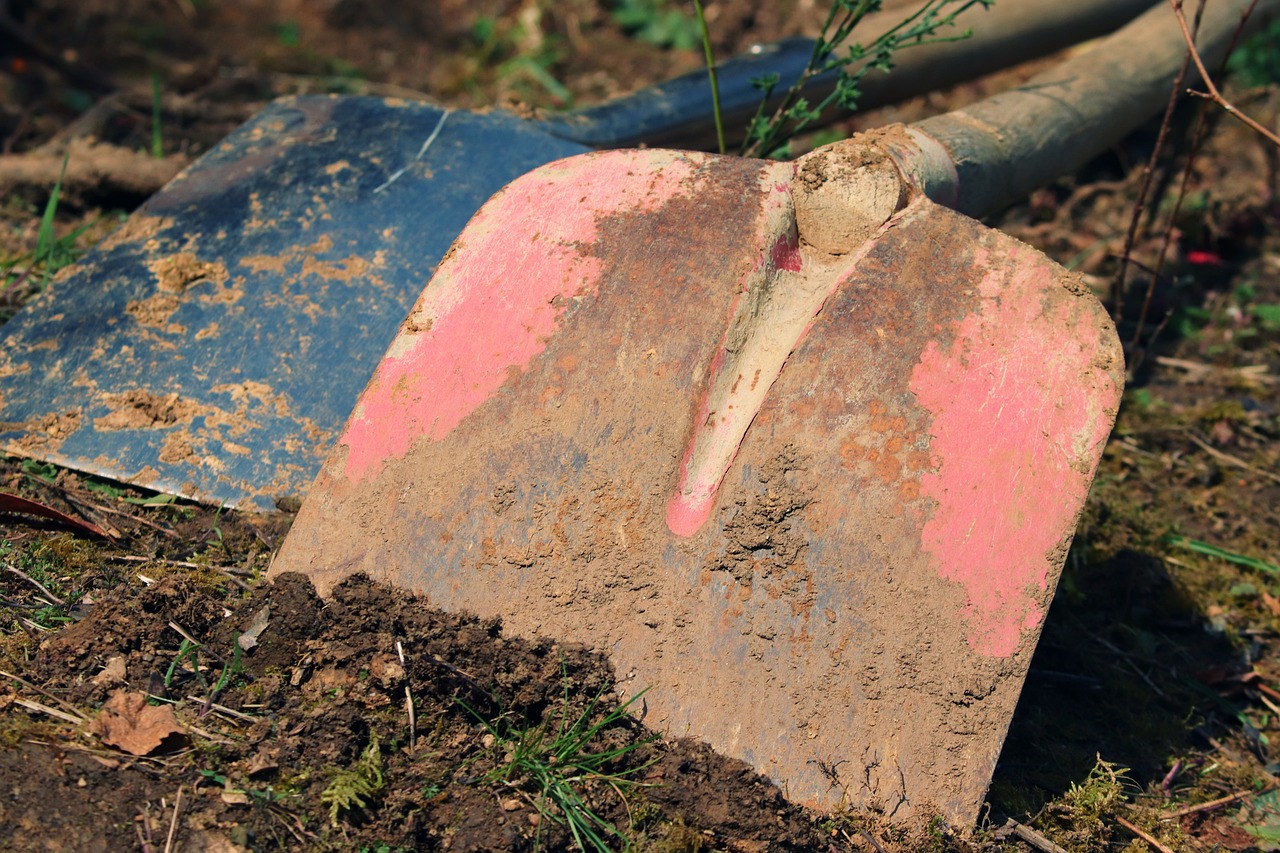 Local Landscape Gardener for Kilcogy homes and gardens