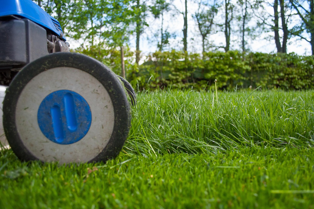 Landscape Gardener services covering Milltown