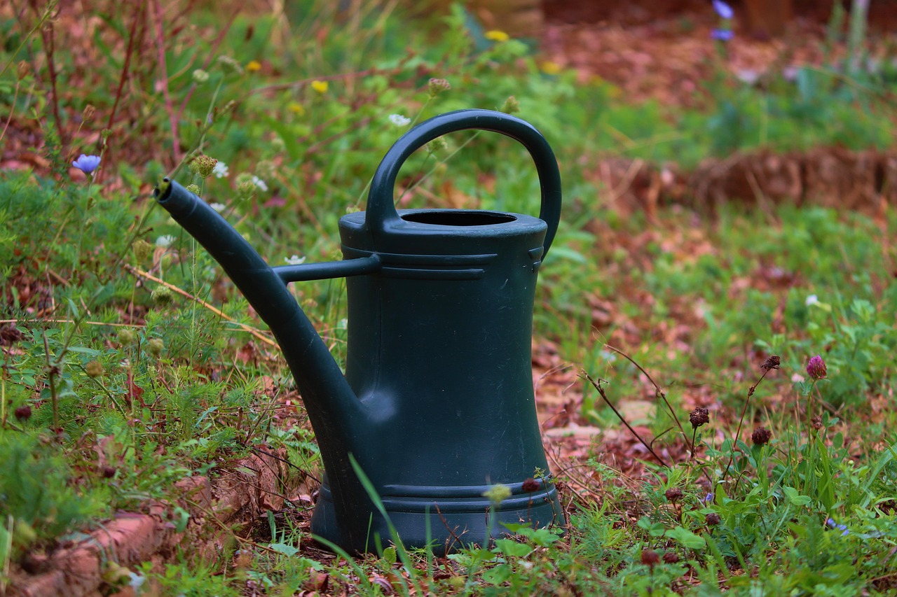 Landscape Gardener in Redhills