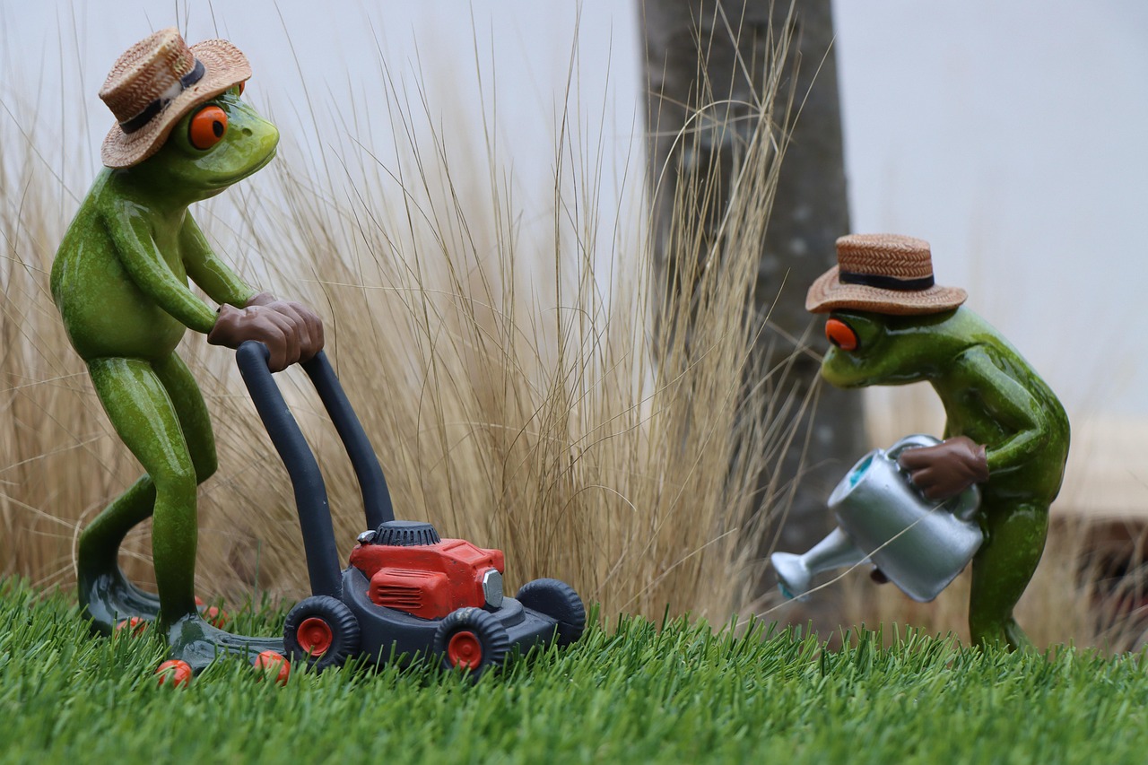 Local lawn care service for Belturbet homes and gardens