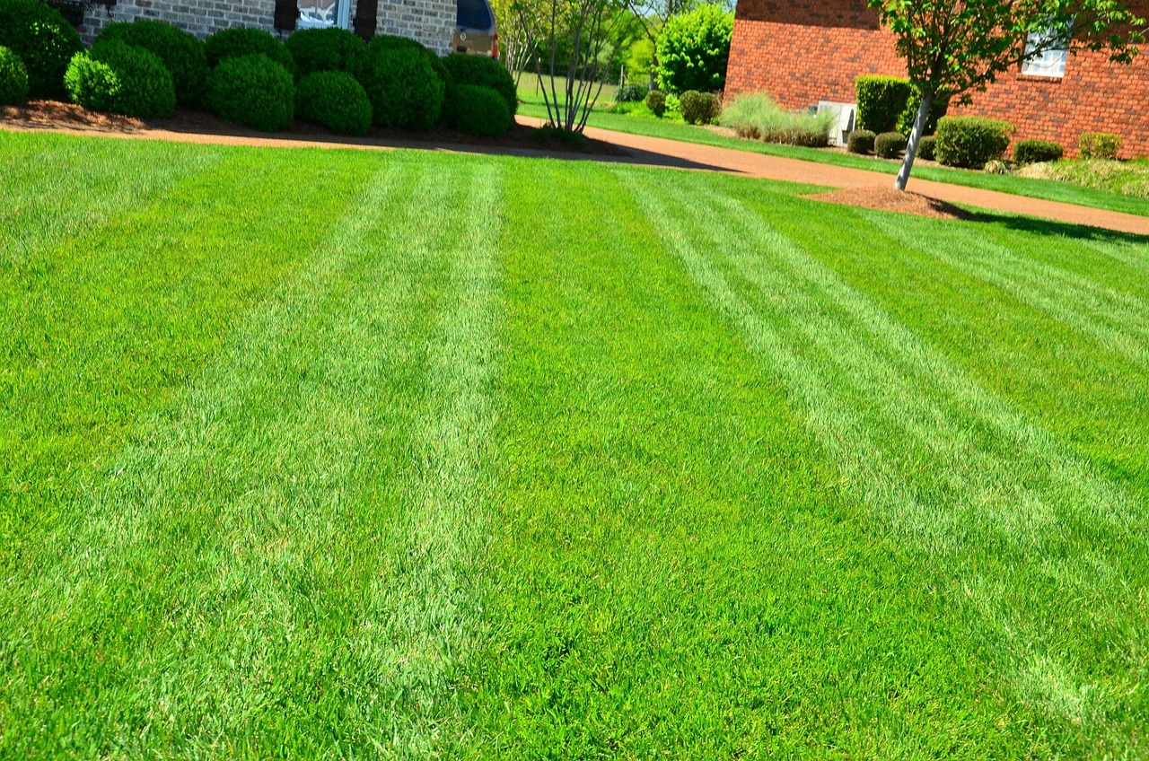 Lawn care service in Canningstown