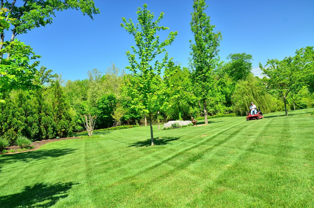 Lawn care service in Crossdoney