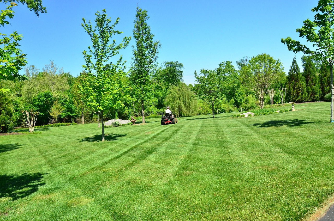 Lawn care service services covering Kilnaleck