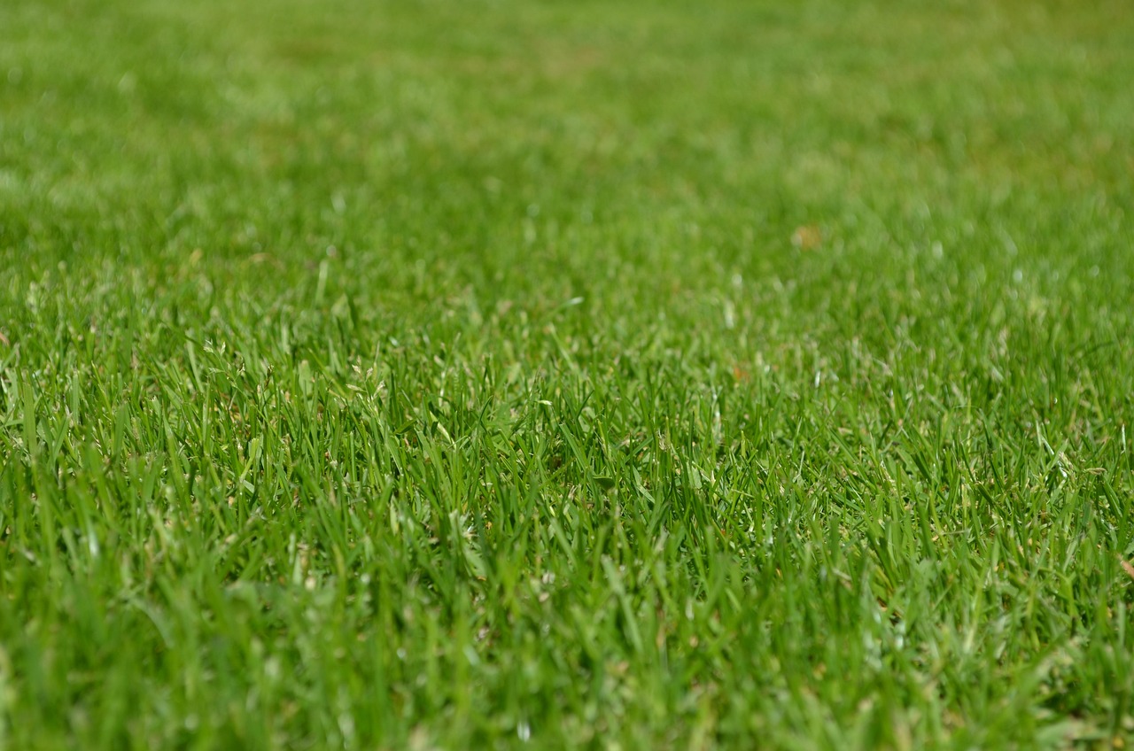 Local lawn care service for Milltown homes and gardens