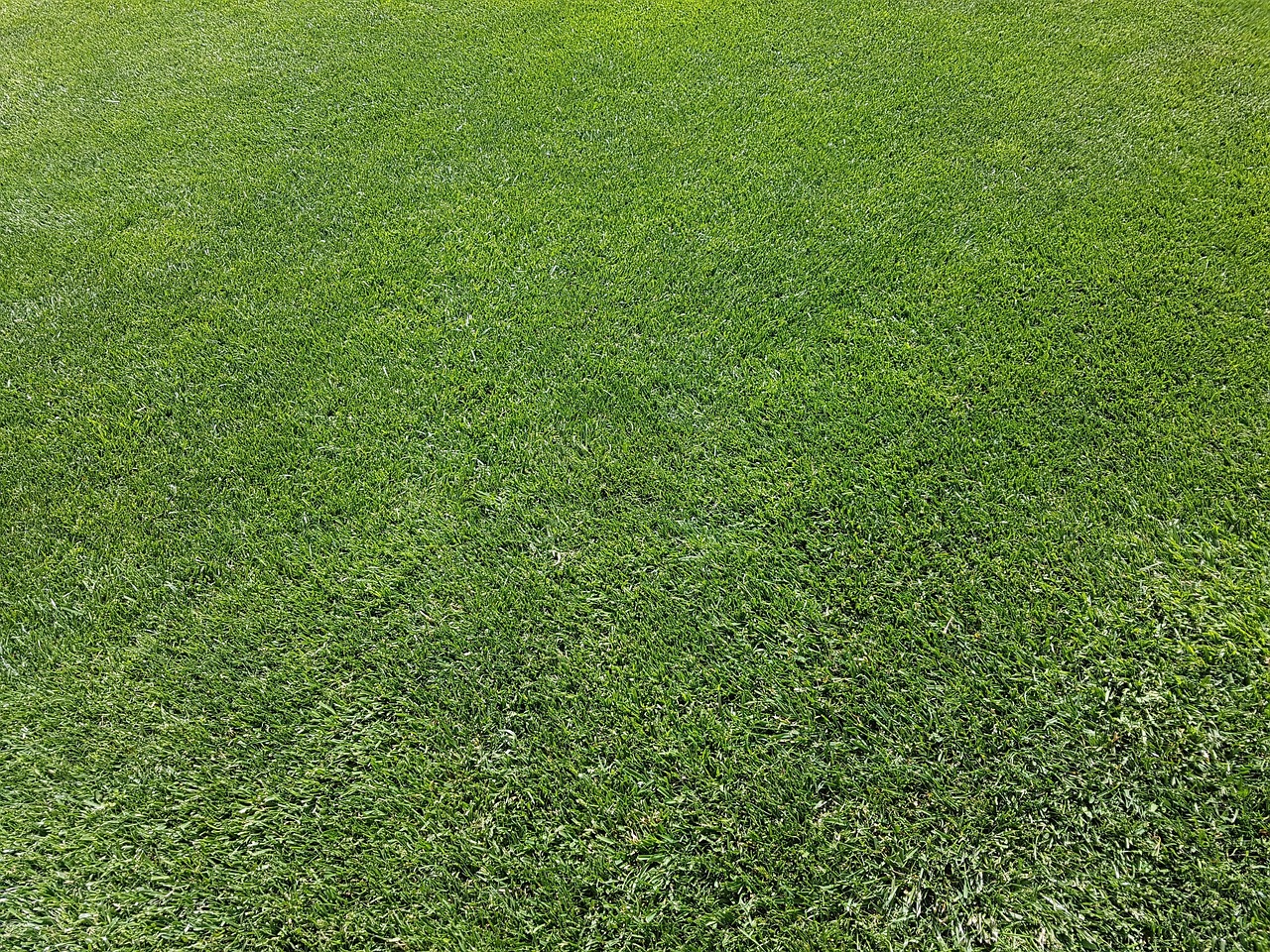 Lawn care service in Redhills