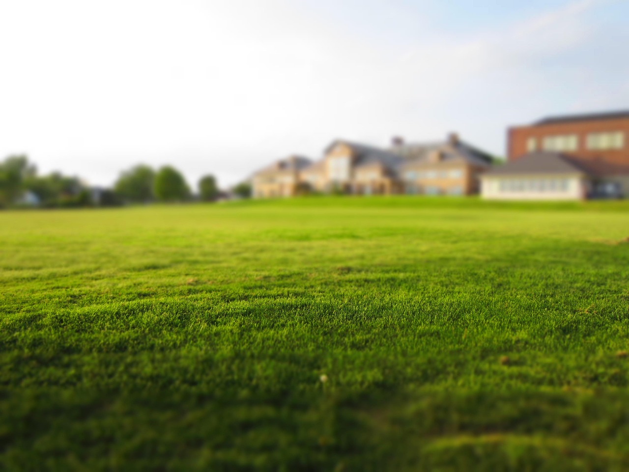 Lawn mowing in Dowra