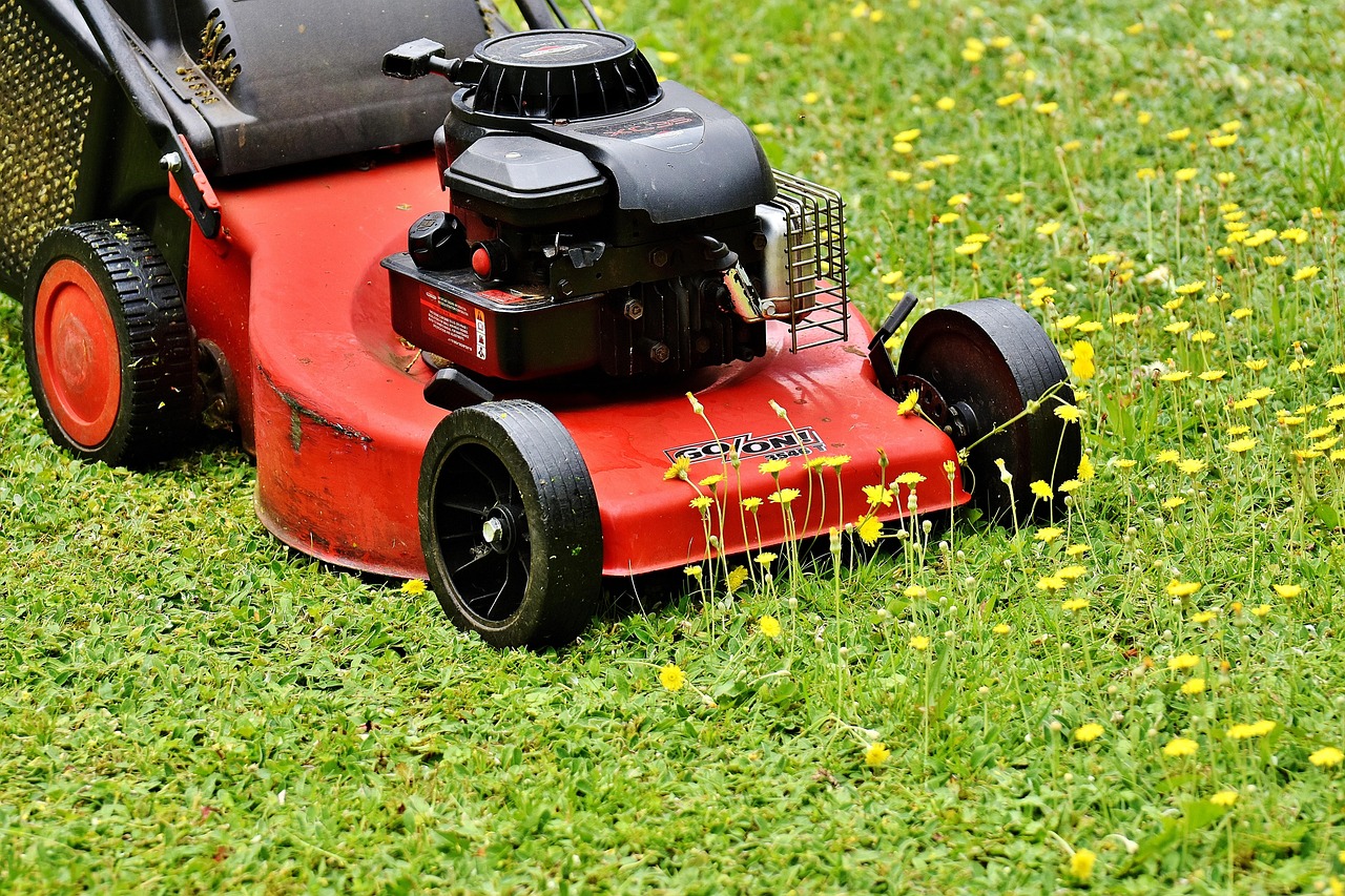 Lawn mowing services covering Kilcogy
