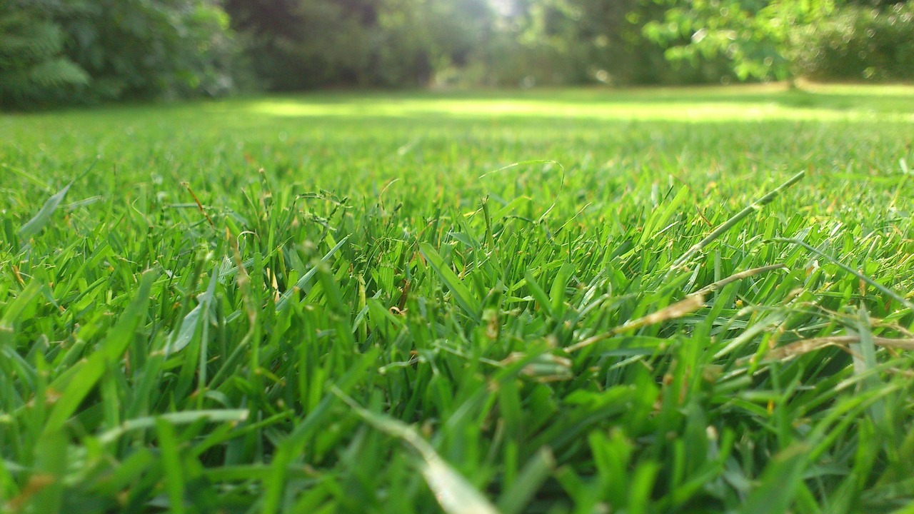 Lawn mowing services covering Kilnaleck