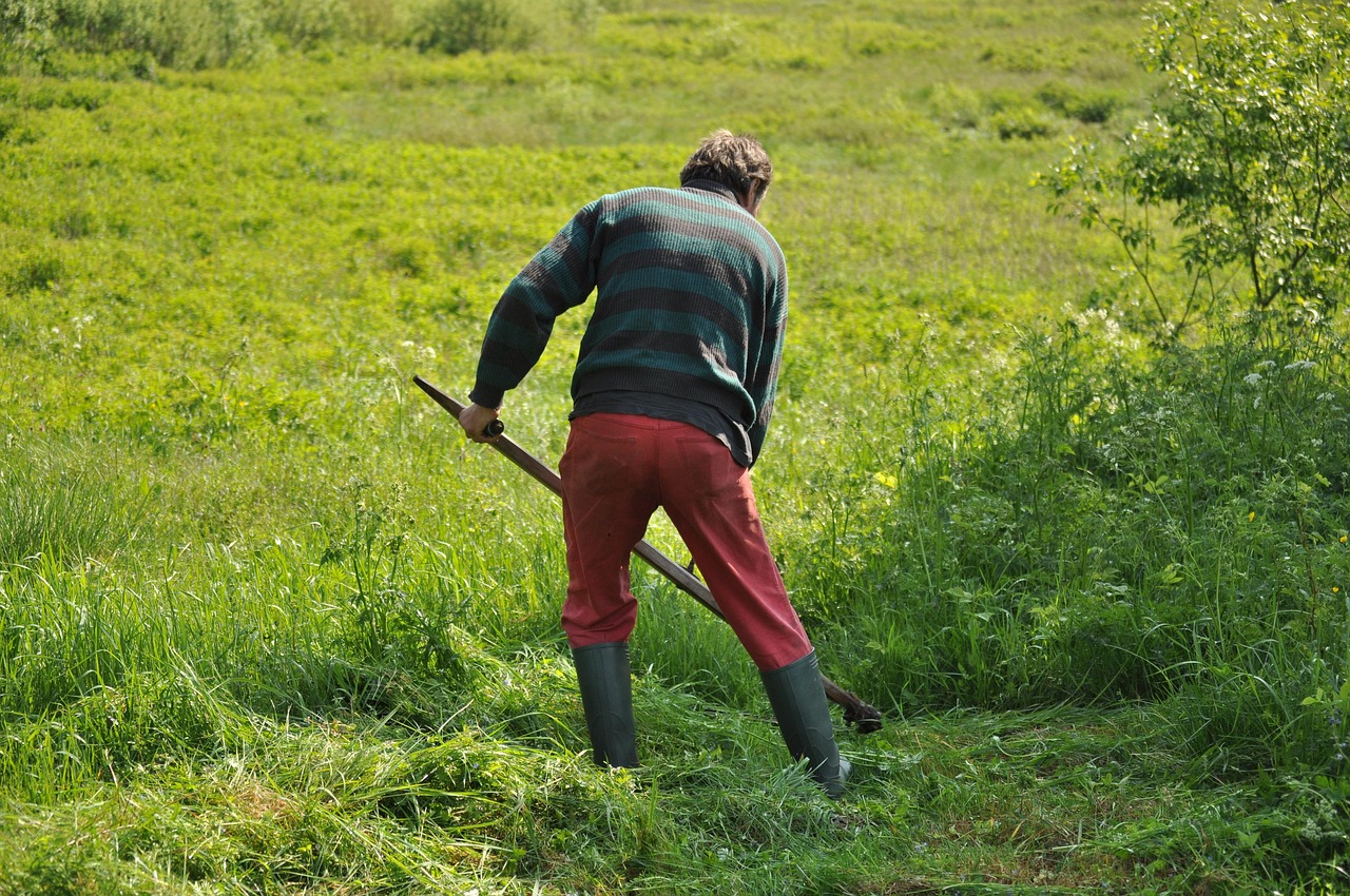 Local lawn mowing for Mullagh homes and gardens