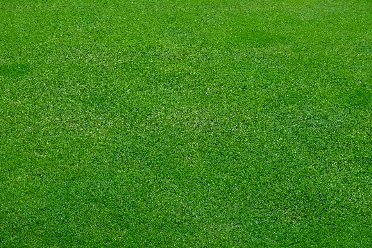 Lawn mowing services covering Mullagh