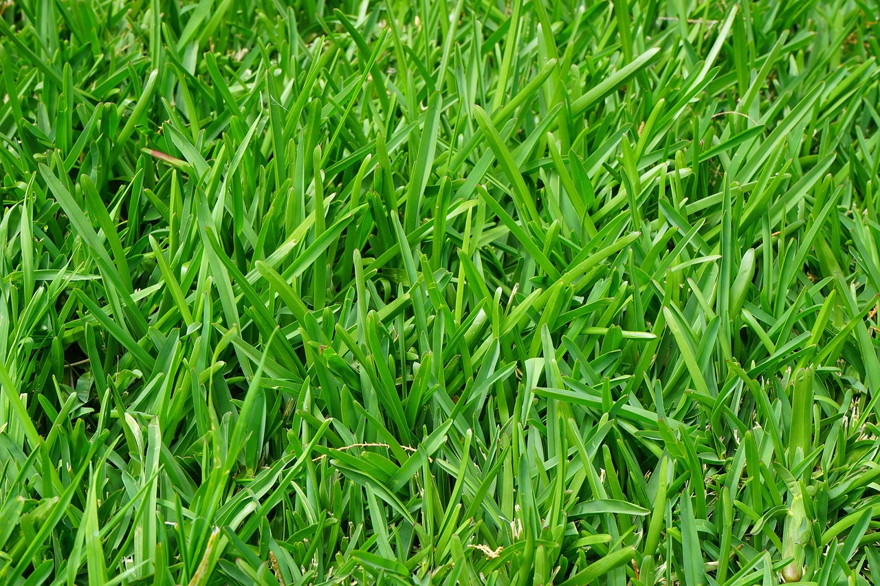 Local lawn mowing for Redhills homes and gardens