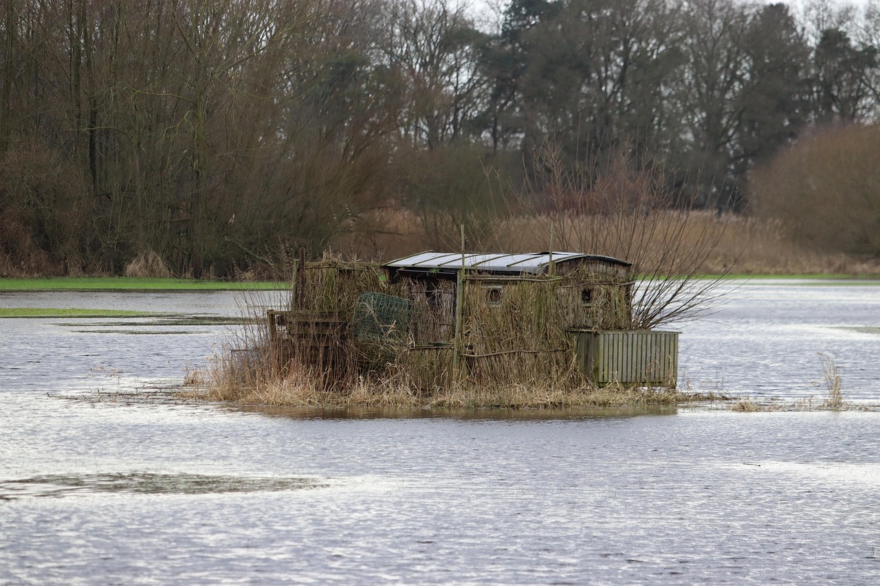 Local sheds for Arvagh homes and gardens