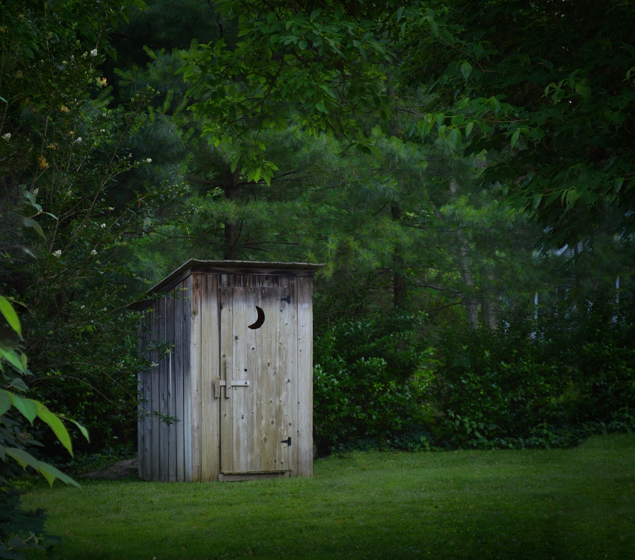 Local sheds for Ballyjamesduff homes and gardens