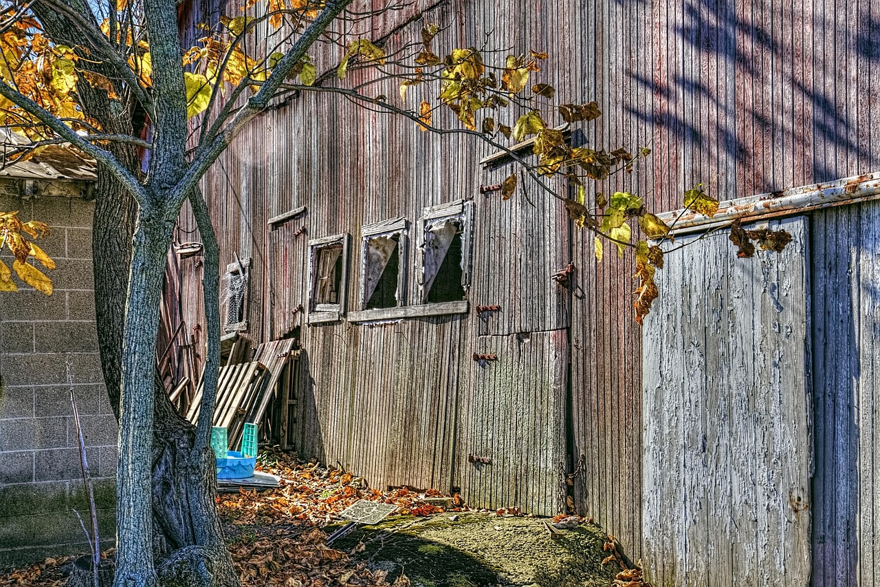Local sheds for Blacklion homes and gardens