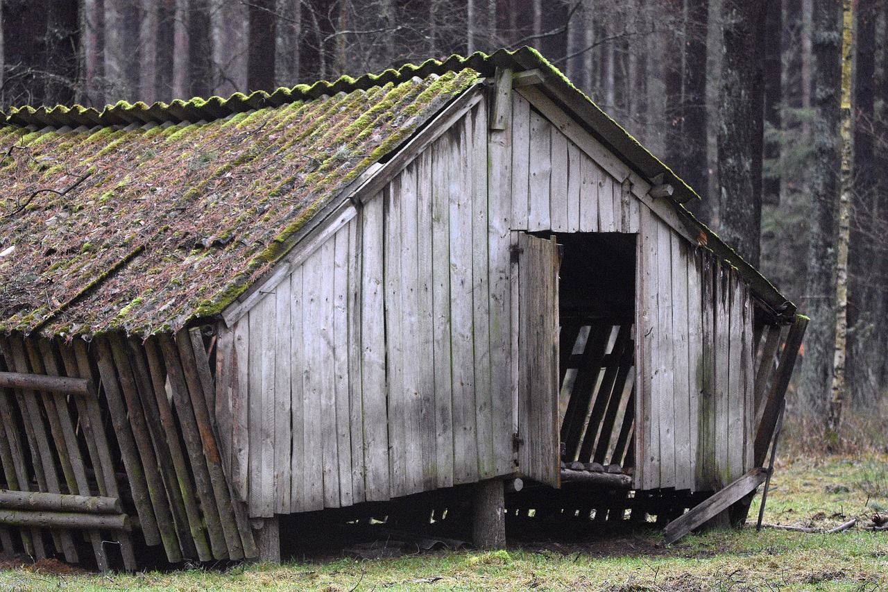 Sheds services covering Mullagh