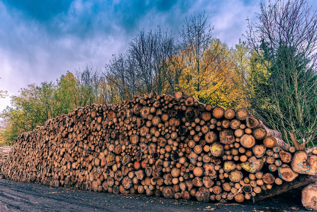 Tree removal services covering Ballyconnell