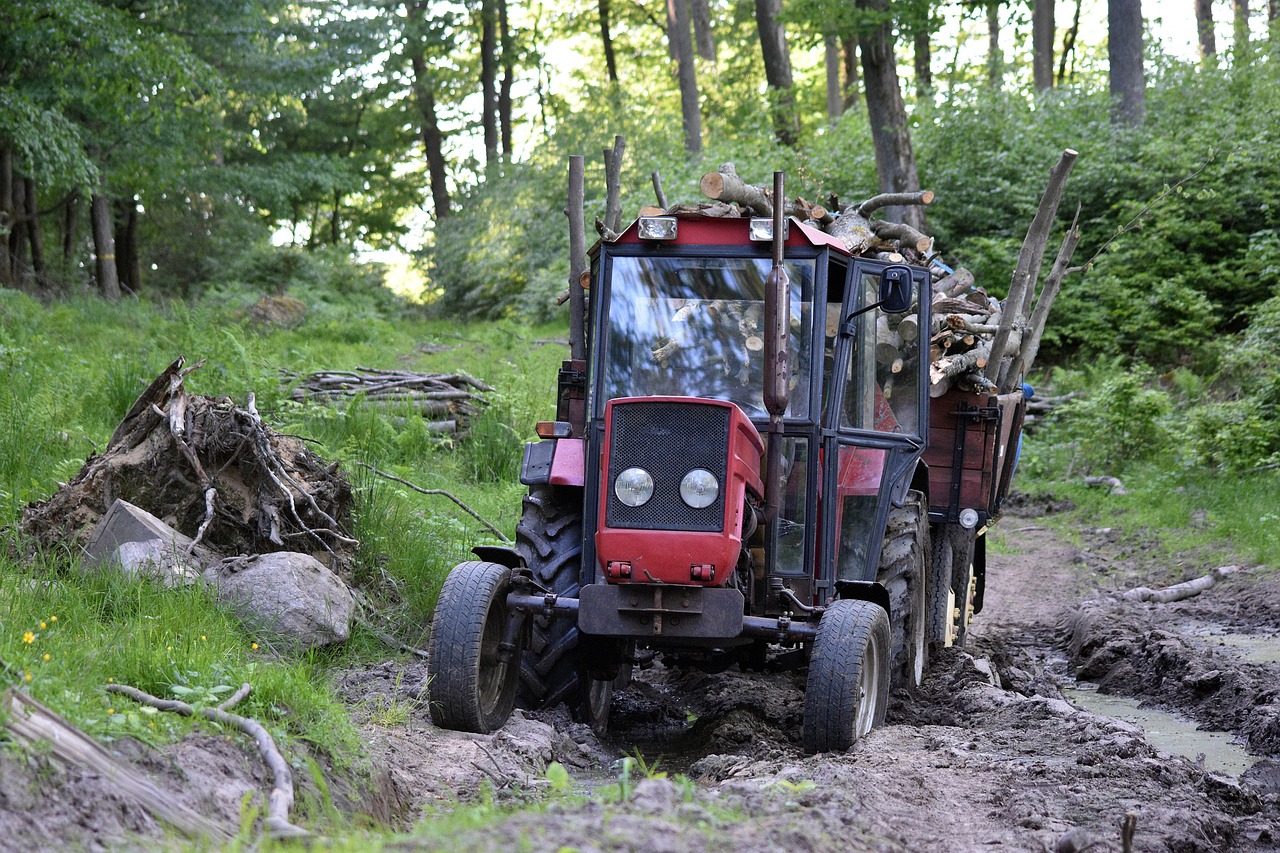 Tree removal services covering Ballyjamesduff